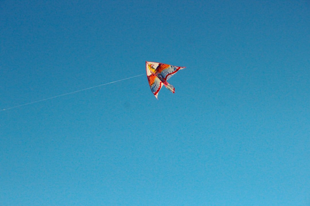 デヴィッド・ブレインが飛行機でマジック披露しちゃった!マジ卍